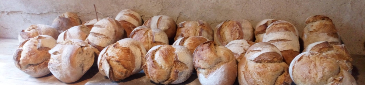 bannière - pains cuits sur le plan de travail du fournil